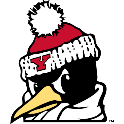 Youngstown State Penguins Alternate Logo 2012 - Present